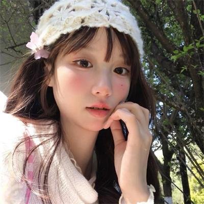 西部战线